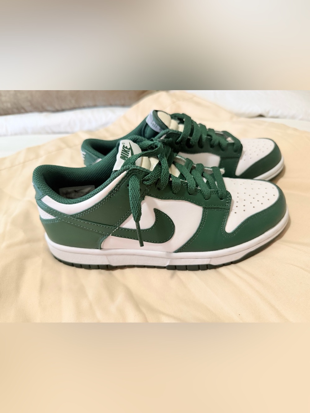 Nike Dunk Low GS 'Michigan State
